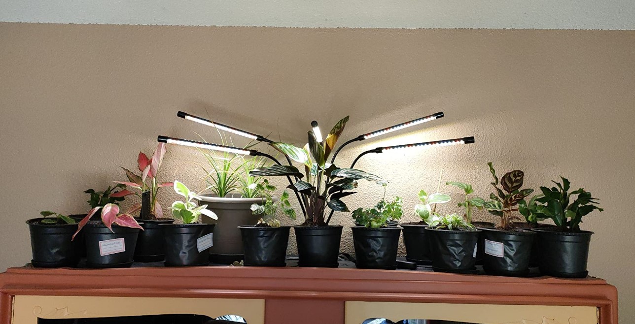 garpsen lampe horticole