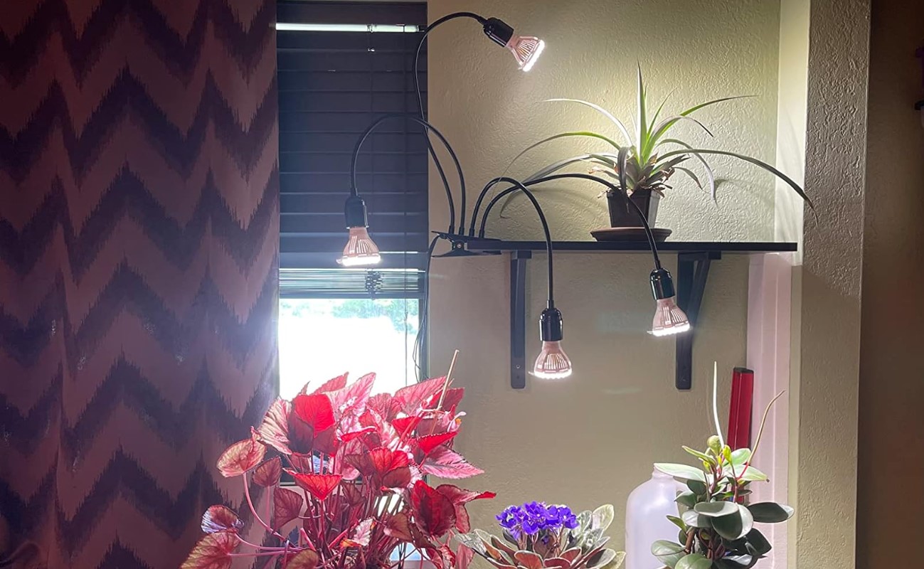 sansi 600 w test avis